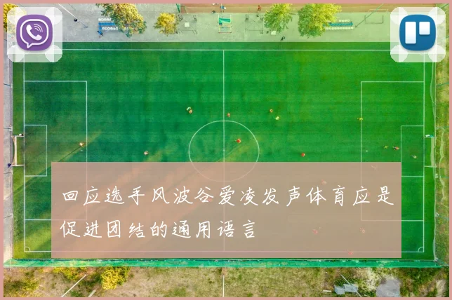 回应选手风波谷爱凌发声体育应是促进团结的通用语言